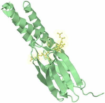 Image Biological Unit 4