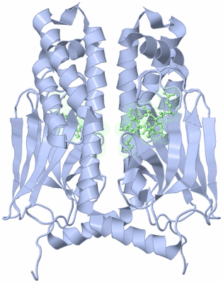 Image Biological Unit 3