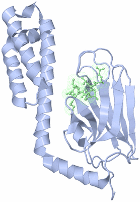 Image Biological Unit 4