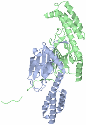 Image Biological Unit 3