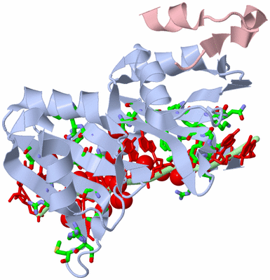 Image Biol. Unit 1 - sites