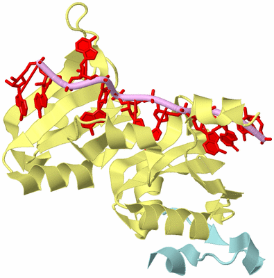 Image Biological Unit 2