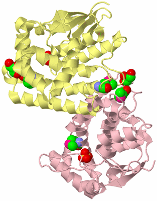 Image Biological Unit 2