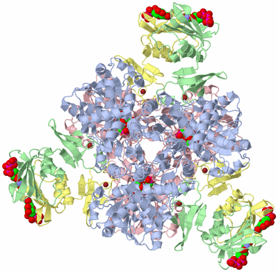 Image Biological Unit 1