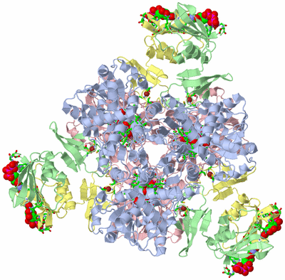 Image Biol. Unit 1 - sites