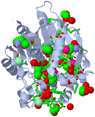 Image Biol. Unit 1 - sites