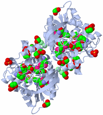 Image Biological Unit 2