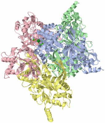 Image Asym./Biol. Unit - sites