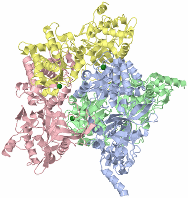 Image Asym./Biol. Unit