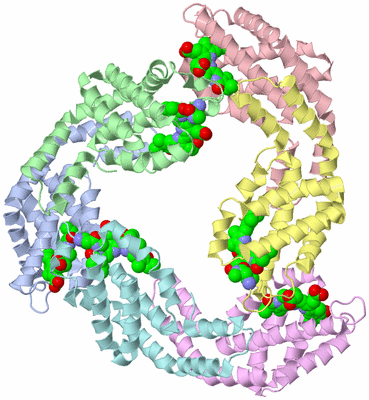 Image Asym./Biol. Unit