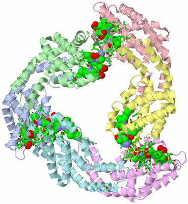 Image Asym./Biol. Unit - sites