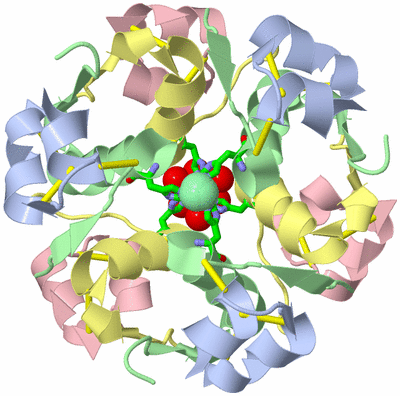 Image Biol. Unit 1 - sites