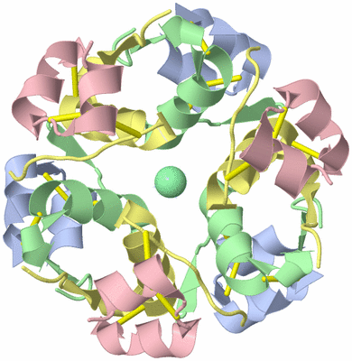 Image Biological Unit 1