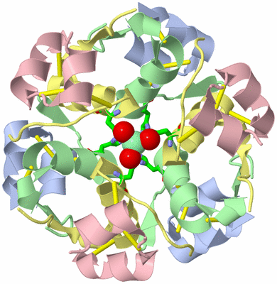 Image Biol. Unit 1 - sites