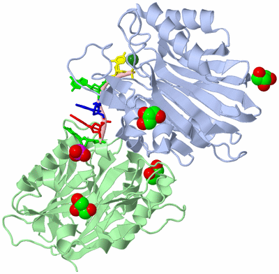 Image Asym./Biol. Unit