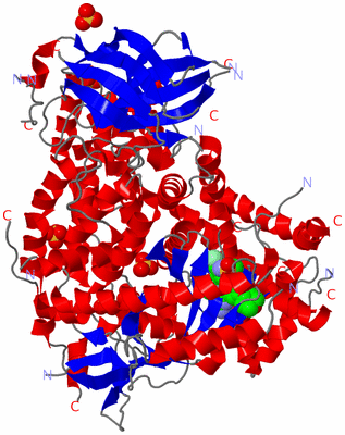 Image Asym./Biol. Unit