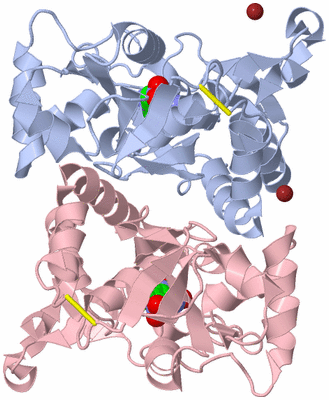 Image Asym./Biol. Unit