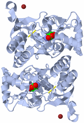 Image Biological Unit 1