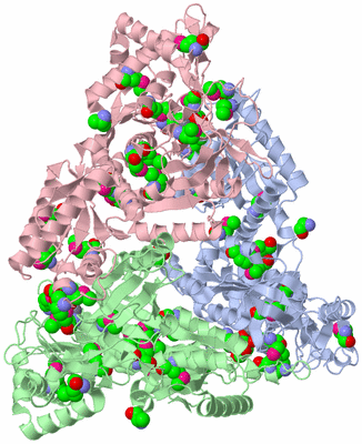 Image Biological Unit 2