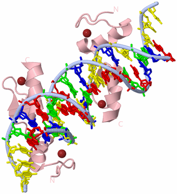 Image Biological Unit 1