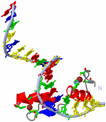 Image Asym. Unit - sites