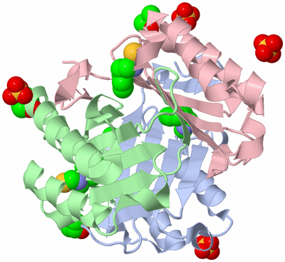 Image Asym./Biol. Unit