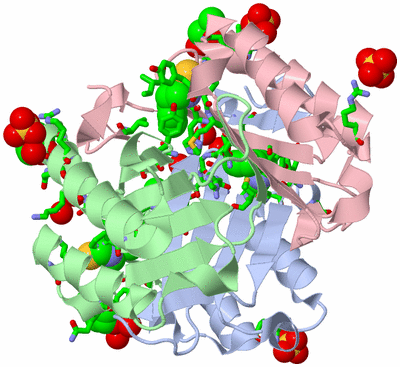 Image Asym./Biol. Unit - sites