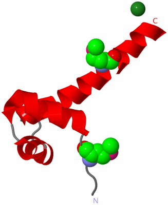 Image Asymmetric Unit