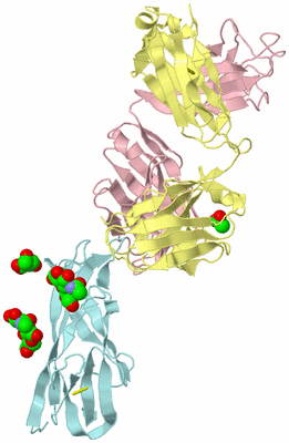 Image Biological Unit 2