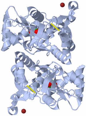 Image Biological Unit 1