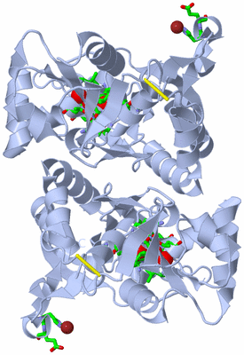 Image Biol. Unit 1 - sites