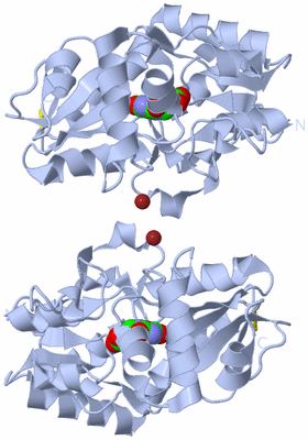 Image Biological Unit 2