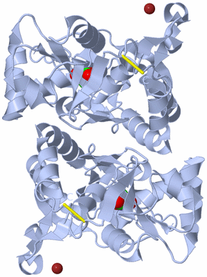 Image Biological Unit 1