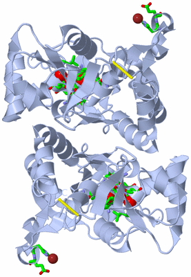 Image Biol. Unit 1 - sites