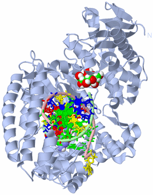 Image Biological Unit 1