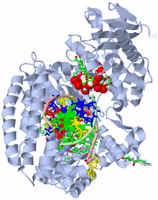 Image Biol. Unit 1 - sites