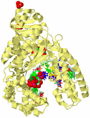 Image Biological Unit 2