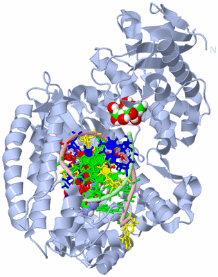 Image Biological Unit 1