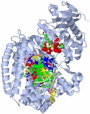 Image Biol. Unit 1 - sites