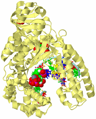 Image Biological Unit 2