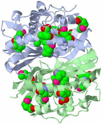 Image Asym./Biol. Unit