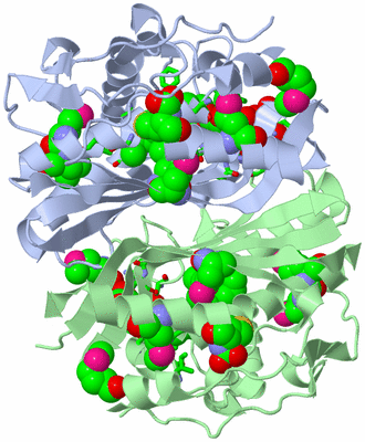 Image Asym./Biol. Unit - sites