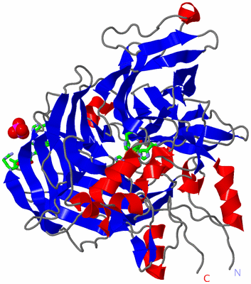 Image Asym. Unit - sites