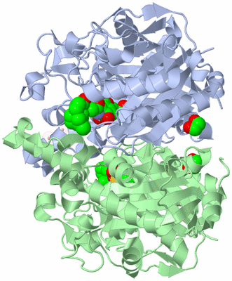 Image Asym./Biol. Unit