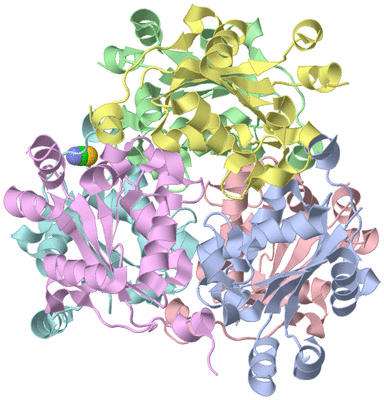 Image Asym./Biol. Unit