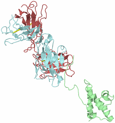 Image Biological Unit 2