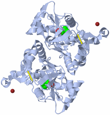 Image Biological Unit 1