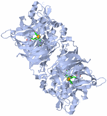 Image Biol. Unit 1 - sites