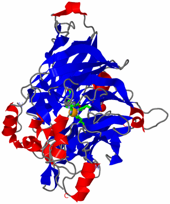 Image Asym. Unit - sites