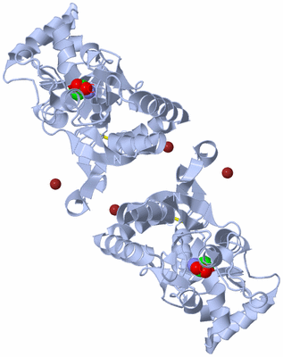 Image Biological Unit 1